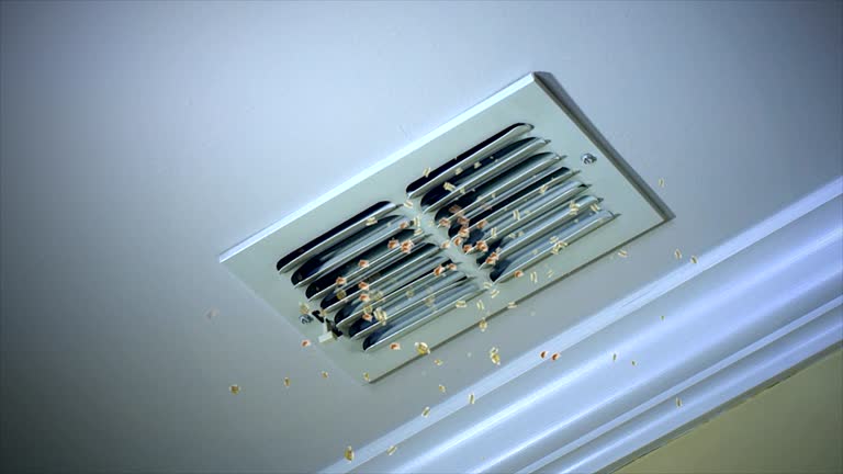  Fowler, MI Airduct Cleaning Pros