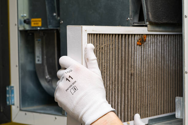 Best Emergency Air Duct Cleaning  in Fowler, MI
