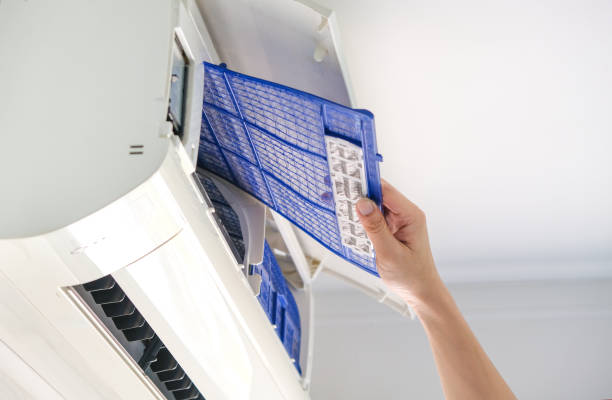 Best Residential Air Duct Cleaning  in Fowler, MI
