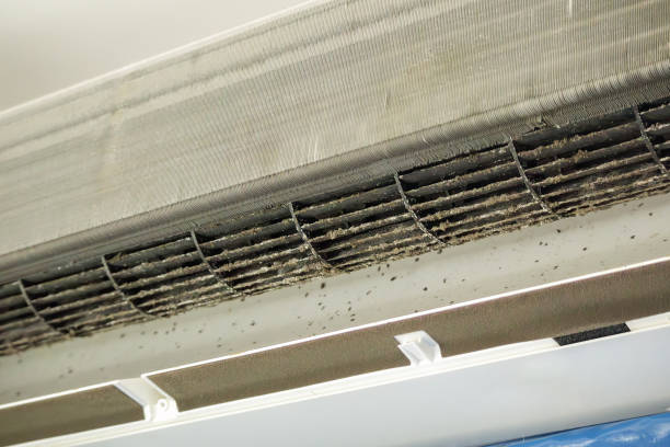 Best Affordable Duct Cleaning Services  in Fowler, MI